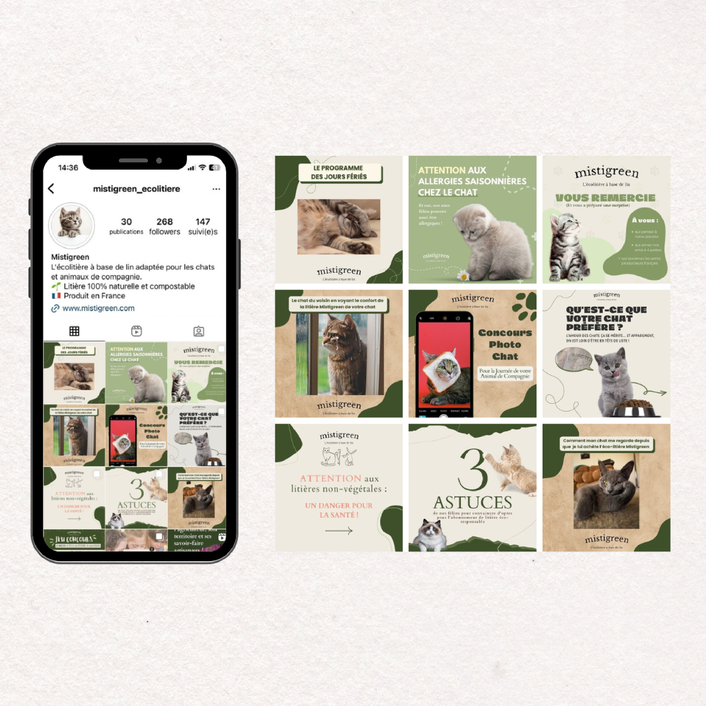 Réseaux Sociaux - Mistigreen