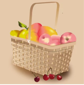 Le panier à fruits Focus - Projet Scolaire - Ninon Bouloch